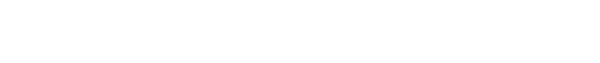 洪家ネについて